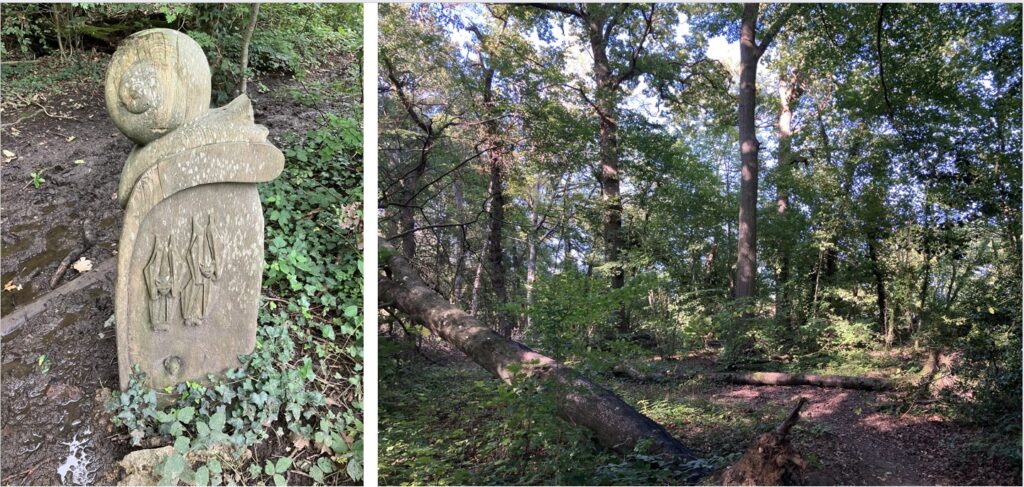 Wood sculpture with snail & bats plus general view of woodland