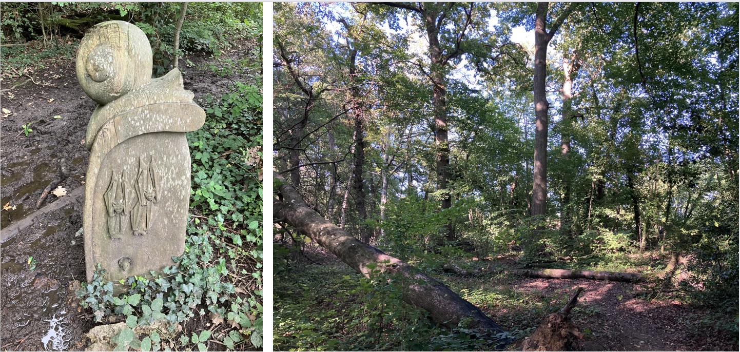 Wood sculpture with snail & bats plus general view of woodland